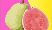 芭乐视频,揭秘热门短视频背后的魅力与影响力